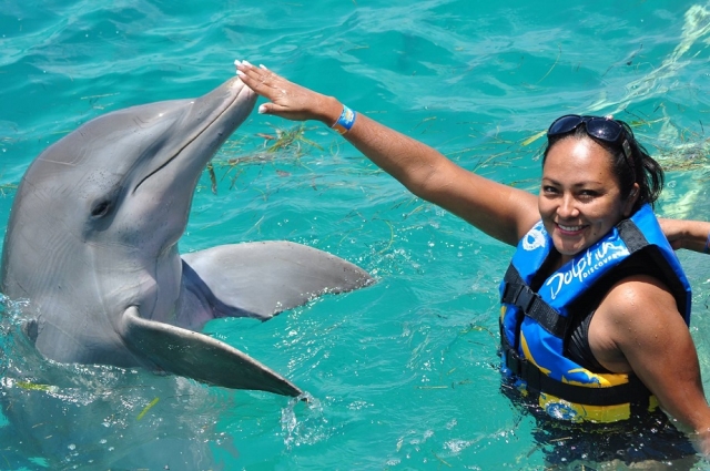  swim with dolphins 